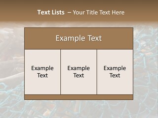 Coastal Life Tarpon Springs Fishing Net PowerPoint Template