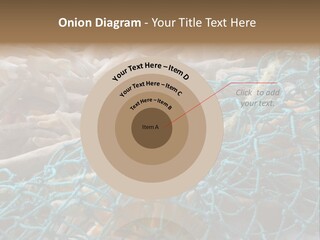 Coastal Life Tarpon Springs Fishing Net PowerPoint Template