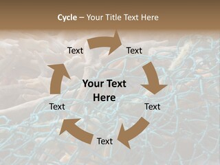 Coastal Life Tarpon Springs Fishing Net PowerPoint Template