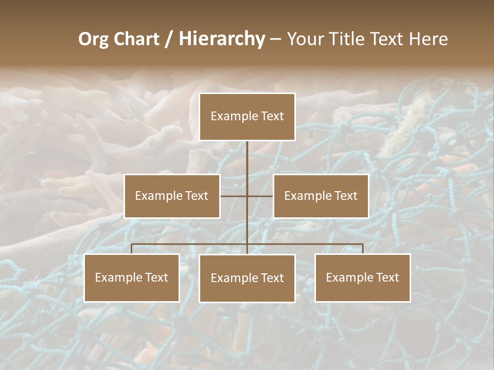 Coastal Life Tarpon Springs Fishing Net PowerPoint Template