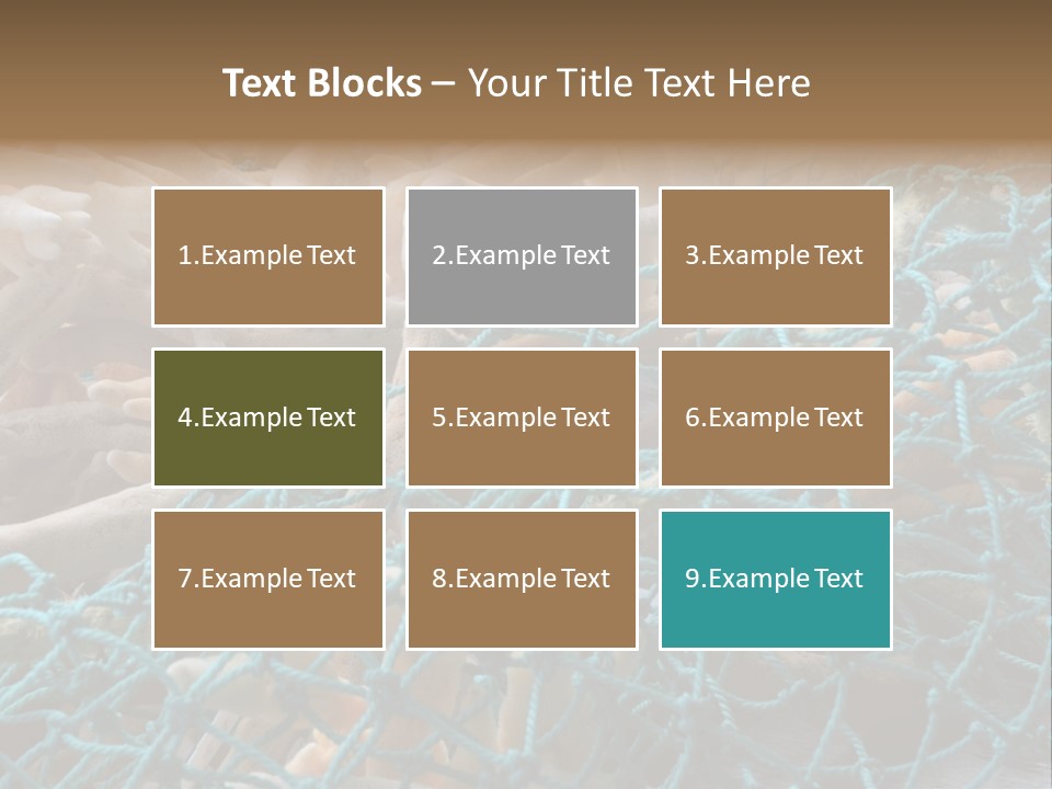 Coastal Life Tarpon Springs Fishing Net PowerPoint Template