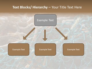 Coastal Life Tarpon Springs Fishing Net PowerPoint Template