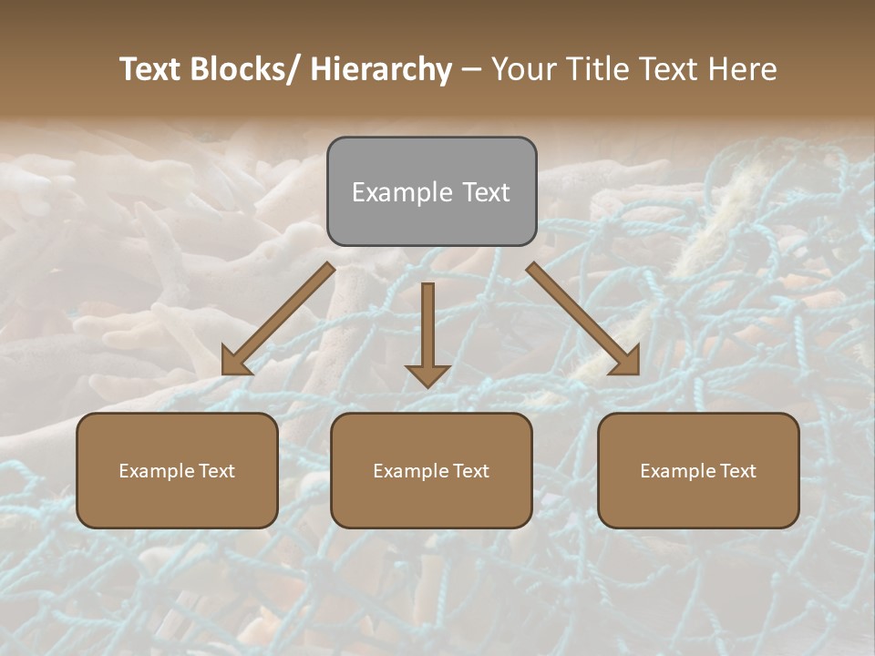 Coastal Life Tarpon Springs Fishing Net PowerPoint Template