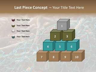 Coastal Life Tarpon Springs Fishing Net PowerPoint Template