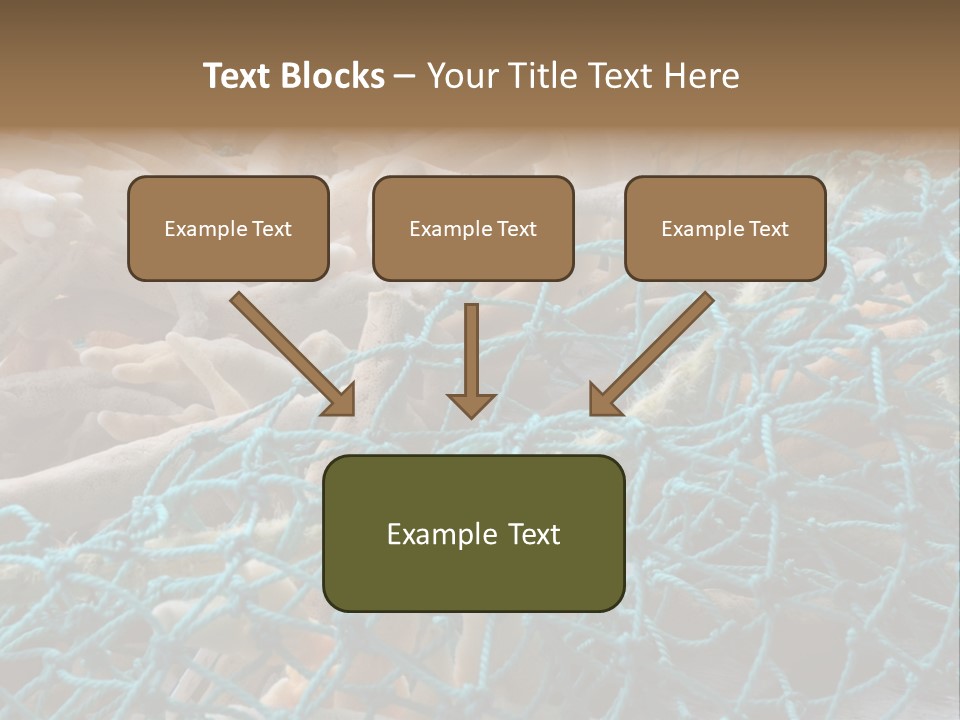Coastal Life Tarpon Springs Fishing Net PowerPoint Template