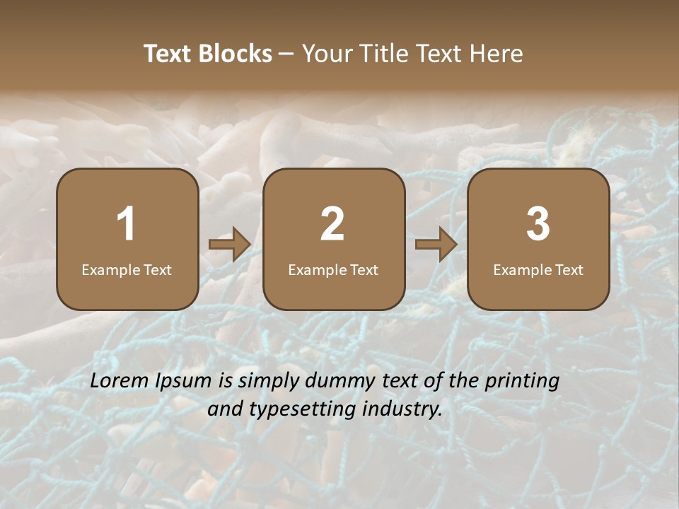 Coastal Life Tarpon Springs Fishing Net PowerPoint Template