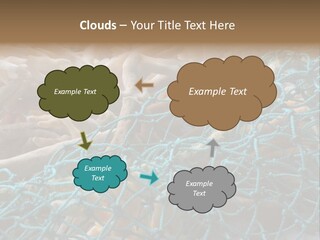 Coastal Life Tarpon Springs Fishing Net PowerPoint Template