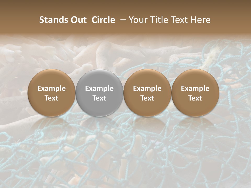 Coastal Life Tarpon Springs Fishing Net PowerPoint Template
