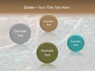 Coastal Life Tarpon Springs Fishing Net PowerPoint Template