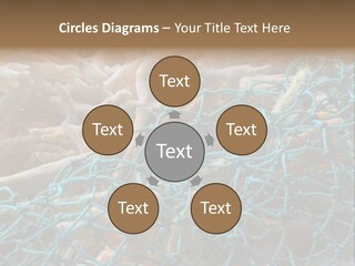 Coastal Life Tarpon Springs Fishing Net PowerPoint Template