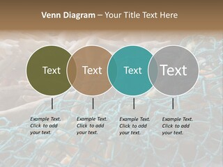 Coastal Life Tarpon Springs Fishing Net PowerPoint Template