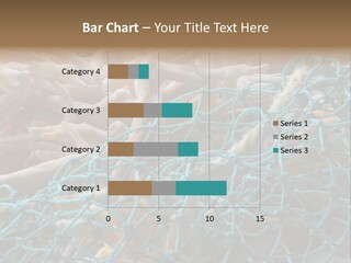 Coastal Life Tarpon Springs Fishing Net PowerPoint Template