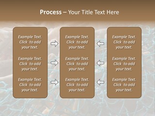 Coastal Life Tarpon Springs Fishing Net PowerPoint Template