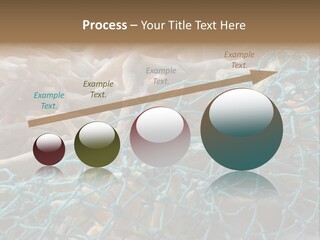 Coastal Life Tarpon Springs Fishing Net PowerPoint Template