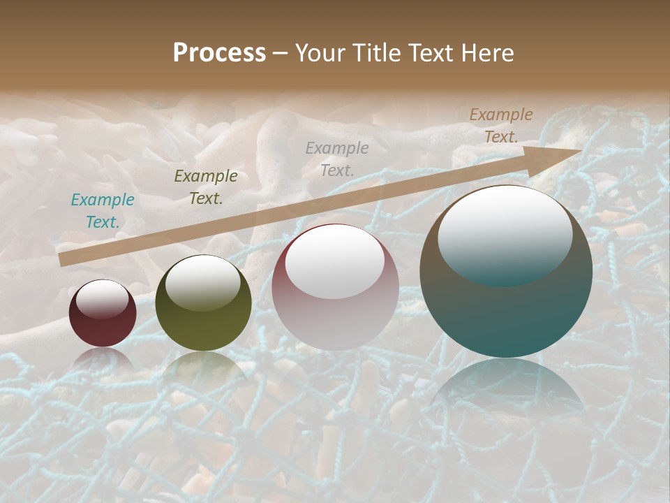 Coastal Life Tarpon Springs Fishing Net PowerPoint Template