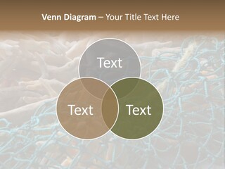 Coastal Life Tarpon Springs Fishing Net PowerPoint Template