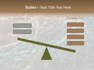 Coastal Life Tarpon Springs Fishing Net PowerPoint Template