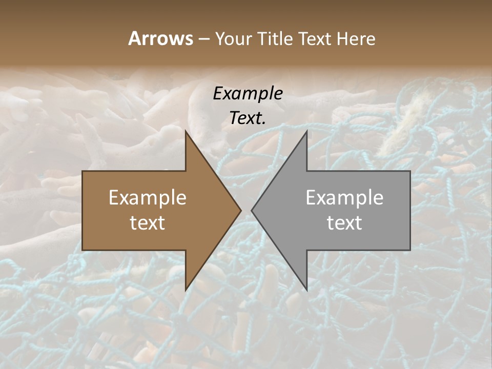 Coastal Life Tarpon Springs Fishing Net PowerPoint Template