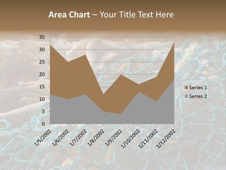 Coastal Life Tarpon Springs Fishing Net PowerPoint Template