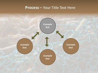 Coastal Life Tarpon Springs Fishing Net PowerPoint Template