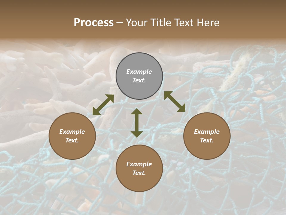 Coastal Life Tarpon Springs Fishing Net PowerPoint Template