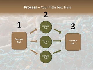 Coastal Life Tarpon Springs Fishing Net PowerPoint Template