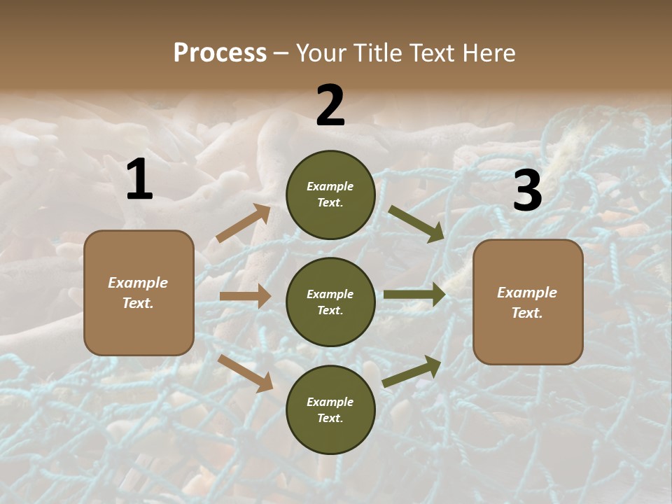 Coastal Life Tarpon Springs Fishing Net PowerPoint Template