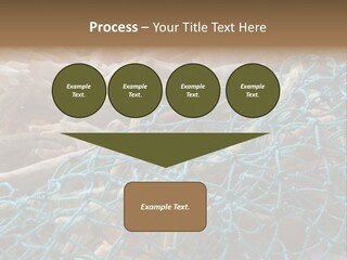 Coastal Life Tarpon Springs Fishing Net PowerPoint Template