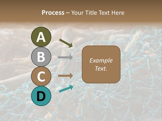 Coastal Life Tarpon Springs Fishing Net PowerPoint Template