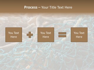 Coastal Life Tarpon Springs Fishing Net PowerPoint Template