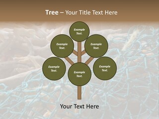 Coastal Life Tarpon Springs Fishing Net PowerPoint Template