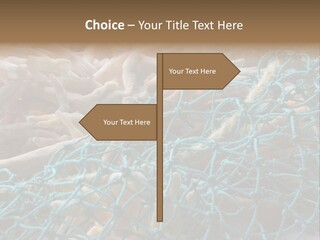 Coastal Life Tarpon Springs Fishing Net PowerPoint Template