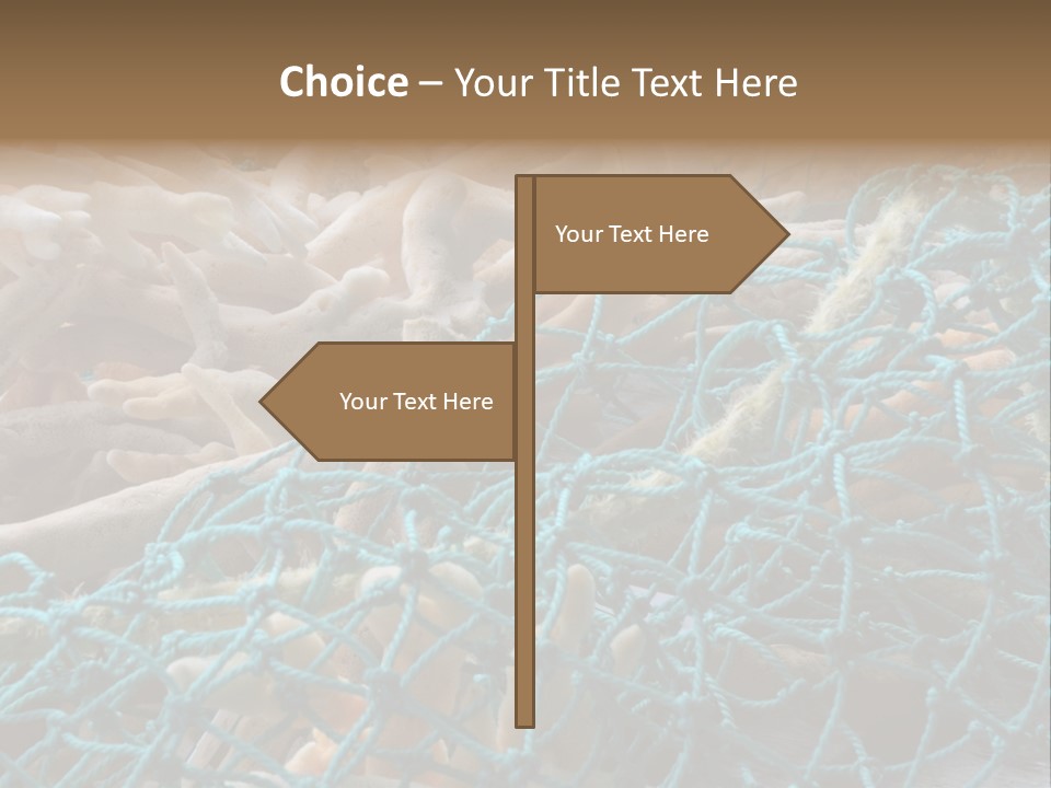 Coastal Life Tarpon Springs Fishing Net PowerPoint Template