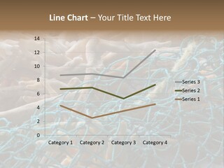 Coastal Life Tarpon Springs Fishing Net PowerPoint Template