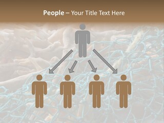 Coastal Life Tarpon Springs Fishing Net PowerPoint Template