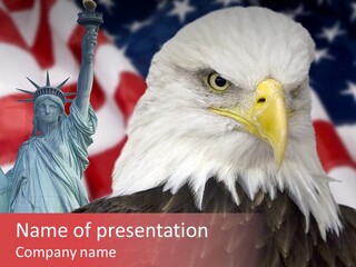 National Stripes Profile PowerPoint Template