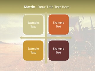 Spike Sun Hay PowerPoint Template