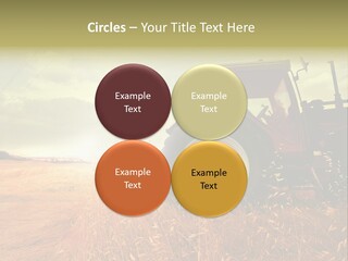 Spike Sun Hay PowerPoint Template