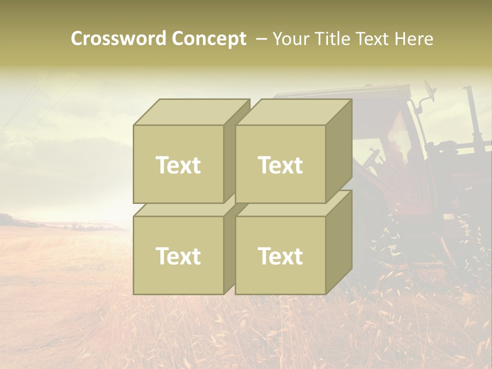 Spike Sun Hay PowerPoint Template