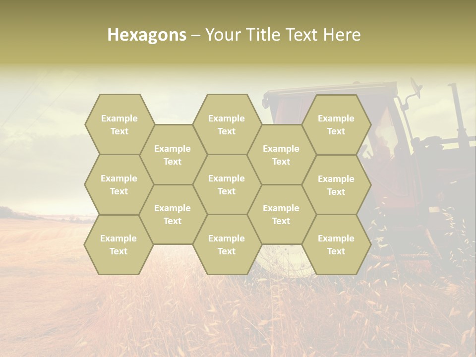 Spike Sun Hay PowerPoint Template
