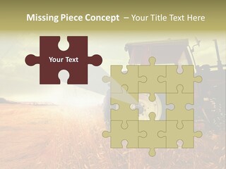 Spike Sun Hay PowerPoint Template