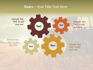 Spike Sun Hay PowerPoint Template