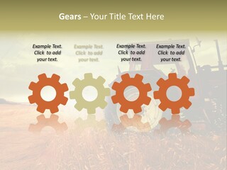 Spike Sun Hay PowerPoint Template