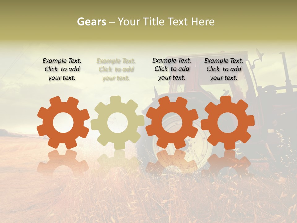 Spike Sun Hay PowerPoint Template