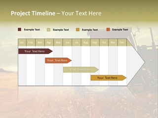 Spike Sun Hay PowerPoint Template