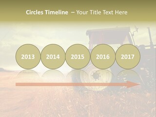 Spike Sun Hay PowerPoint Template