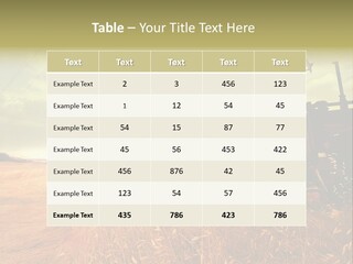 Spike Sun Hay PowerPoint Template