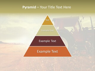 Spike Sun Hay PowerPoint Template