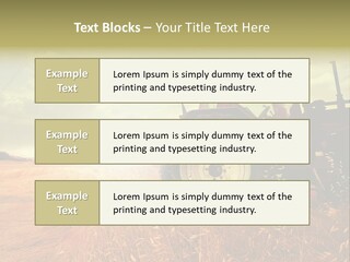 Spike Sun Hay PowerPoint Template