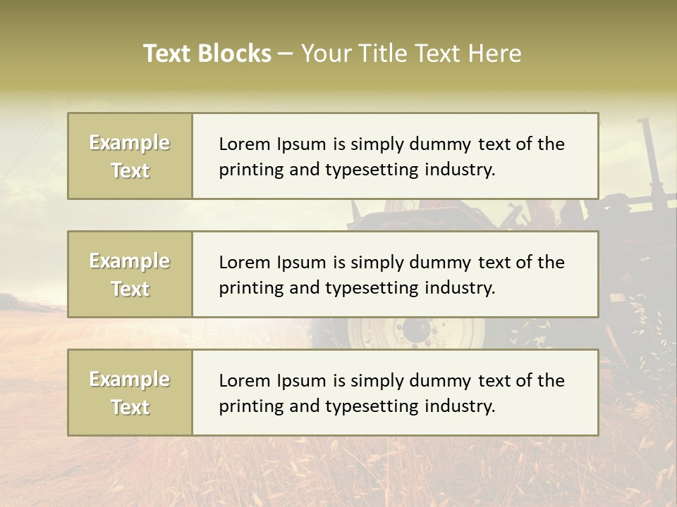 Spike Sun Hay PowerPoint Template